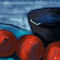 objects by sketchpad