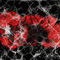 covred-in-web by Caraphernelia