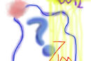 why-not-variate6