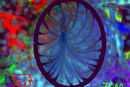 wormhole-of-color-feat
