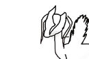 unfinished