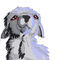 unfinished by Firestar