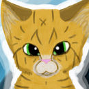 finished-cat