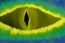 the-eye