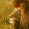 lion-sketch by viridian