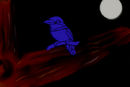 birdy