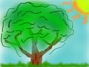 sunny-day