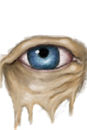 eye