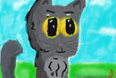 kitty