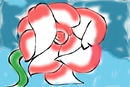 my-flawer