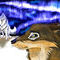 balto-and-aniu-fanart- by jennawolf48