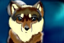 wolf-in-moon-light