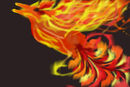 pheonix pheonix