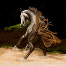 wild-stallion