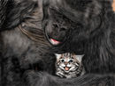 koko
