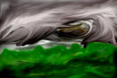 landscape-1