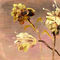 artsys-golden-flowers by kutedymples