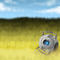 wheatley by SugarPaw1233