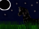 darkness-falls