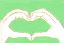 hands-can-love-too