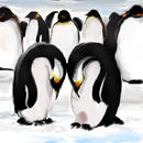 penguin