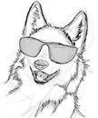 hipster-coyote