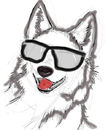 hipster-coyote