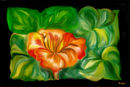 orange-flower