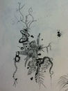 randomness