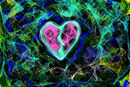 abstract-heart