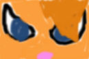 random-cat