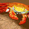crab by betty