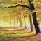 trees by CHR