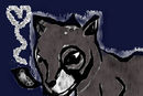 wolf-wisy