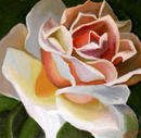 creamy-orange-rose creamy-orange-rose