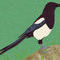 magpie by pawsitive