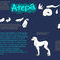 atepa-secies-referance by blackheart
