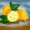 lemons by katy