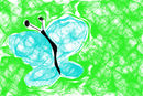 weberfly