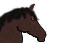 horse