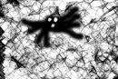 spider