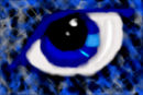 blue-eye