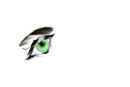 eye