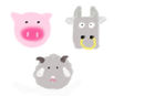 animals animals