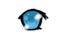 eye