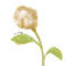 piece-of-cotton by Cotton