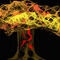 autum-webtree by Angel2o12