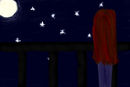 looking-at-the-stars