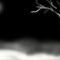 night by sofya