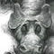 dragon--resting by viridian